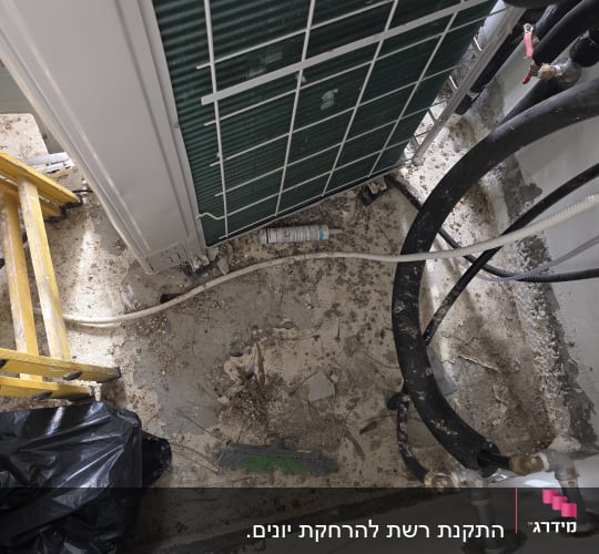 התקנת רשת להרחקת יונים.